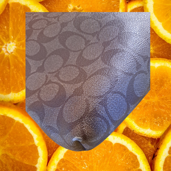 Coach File Bag‎ in Signature Canvas F34938 | Light Khaki/Pool Blue - Picture 13 of 13